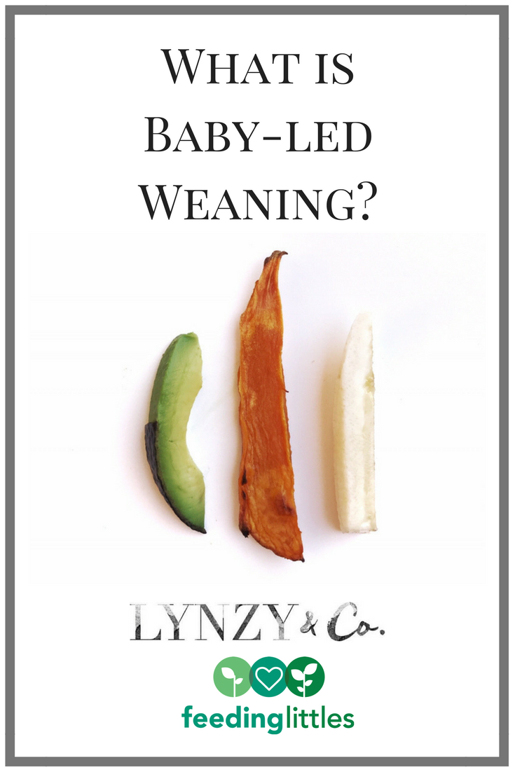 Motherhood blogger Lynzy & Co, talks about what baby led weaning is and some of the myths about it. 